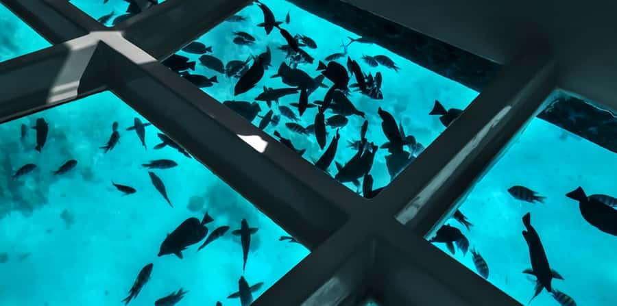 Sharm El Sheikh: Glass Bottom Boat Tour & Private Transfer - Key things to know before you go