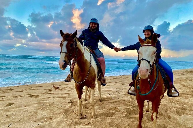 Sharm El Sheikh Horseback Riding with Pickup and Drop-off - Key Things You’ll Notice On This Sharm El Sheikh Horse Ride