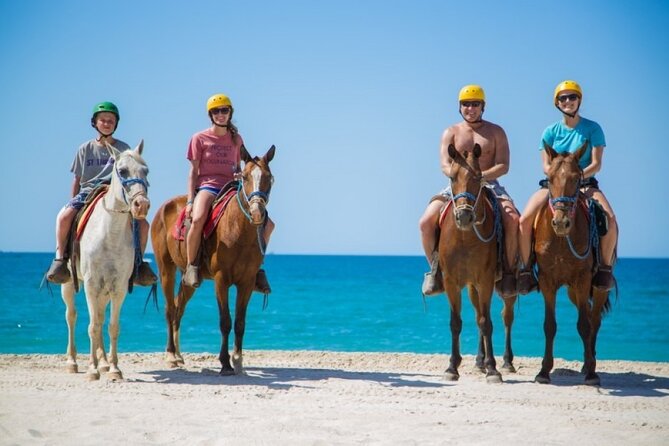 Sharm El Sheikh Horseback Riding with Pickup and Drop-off - Sharm El Sheikh Horse Riding With Pickup: The Comfort Part First