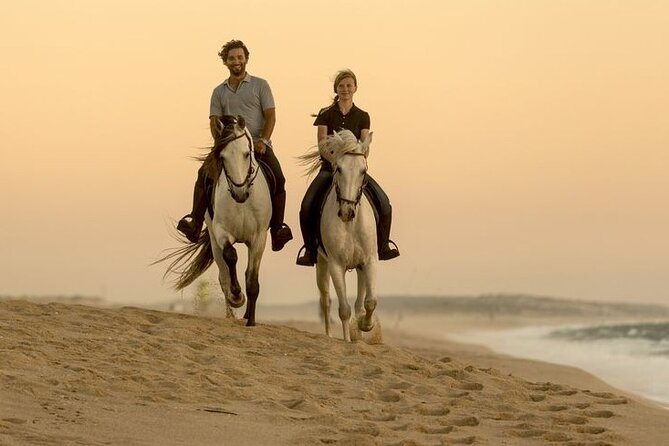 Sharm El Sheikh Horseback Riding with Pickup and Drop-off - The “1 Hour vs 2 Hours” Decision (And How to Think About It)