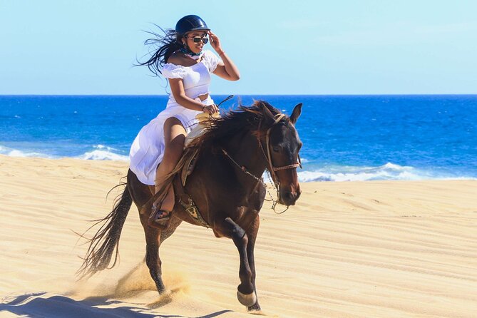 Sharm El Sheikh Horseback Riding with Pickup and Drop-off - Why This Tour’s Small Group Size Matters
