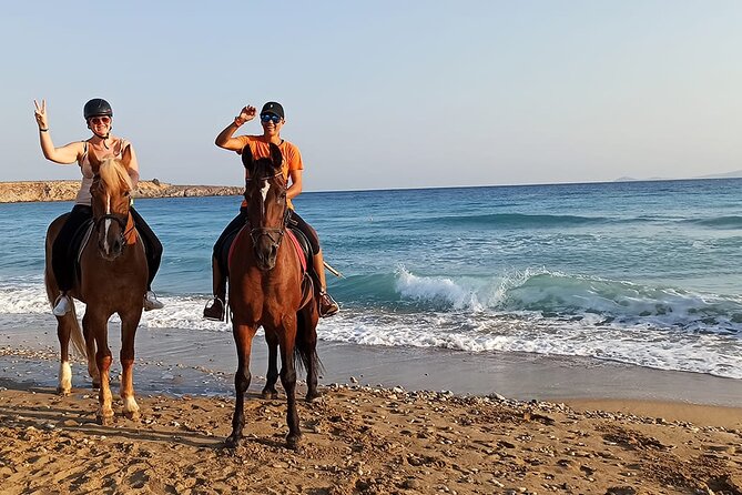 Sharm El Sheikh Horseback Riding with Pickup and Drop-off - Value for Money: What You’re Really Paying For