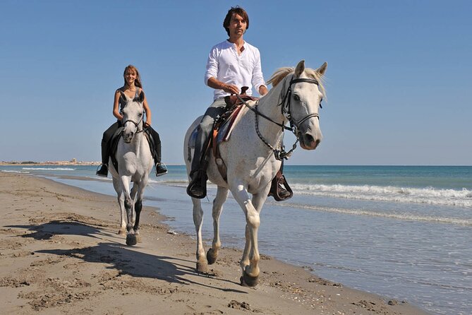 Sharm El Sheikh Horseback Riding with Pickup and Drop-off - Who This Horseback Ride Is Best For