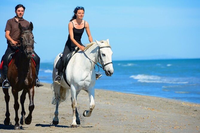 Sharm El Sheikh Horseback Riding with Pickup and Drop-off - What the Trainers Do Before You Ride