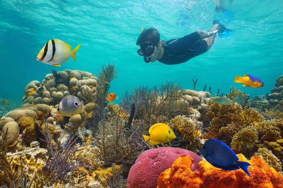Sharm El Sheikh: Luxury boat Cruise with Snorkeling & Lunch - Ras Muhammad National Park: snorkeling and swimming with a guide in charge