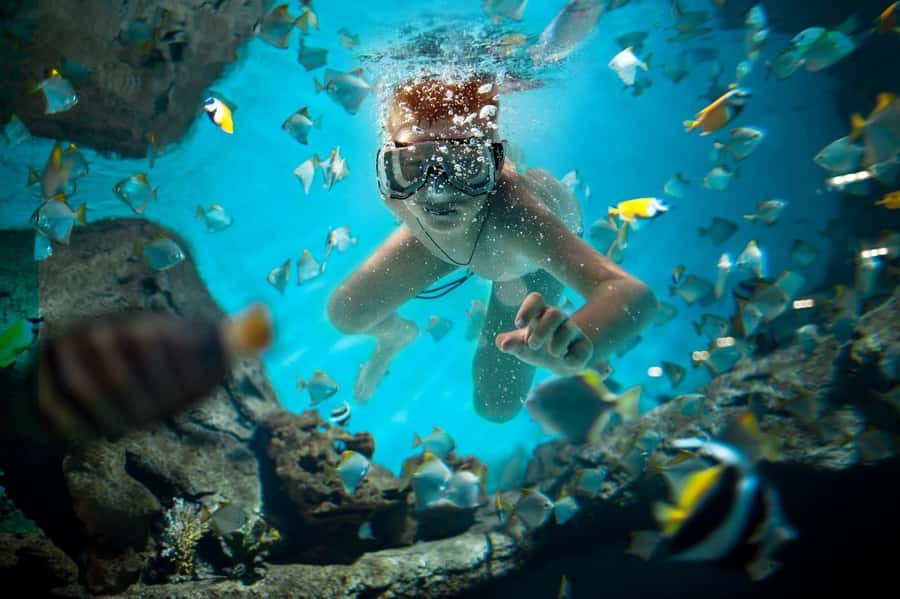 Sharm El Sheikh: Luxury boat Cruise with Snorkeling & Lunch - Lunch on the yacht: what’s on the menu and why it matters