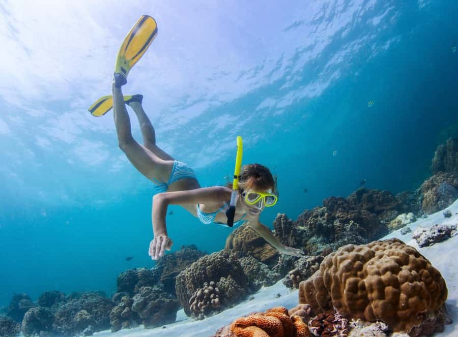 Sharm El Sheikh: Luxury boat Cruise with Snorkeling & Lunch - Weather, crowds, and sea timing: the real-world tradeoffs