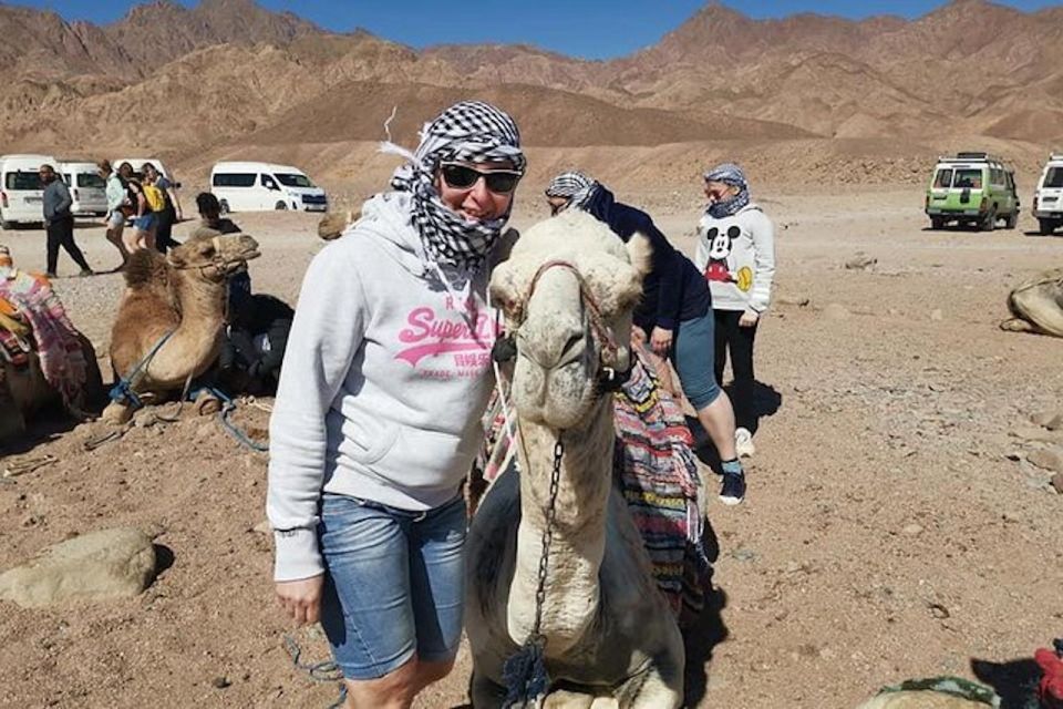 Sharm El-Sheikh: Parasailing, Camel Ride, Dive & Quad Bike - Booking Options: Full Combo vs Parasailing-Only