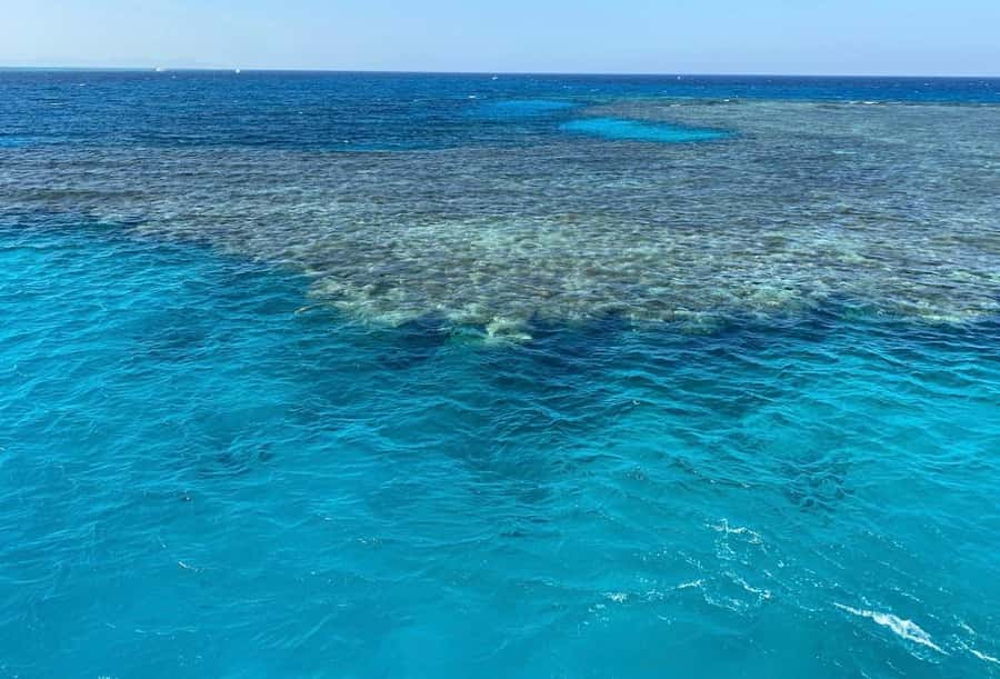 Sharm el-Sheikh: Premium Ras Mohammed & White Island Cruise - White Island sand time and swim breaks