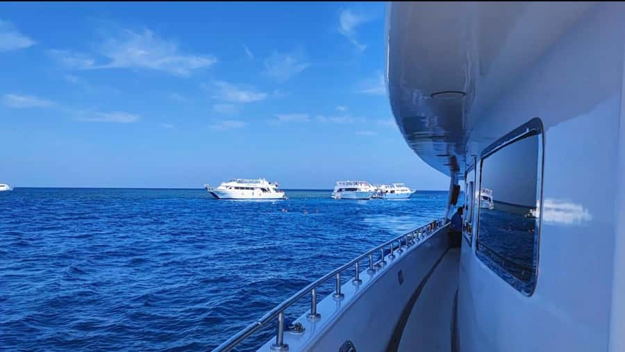 Sharm el-Sheikh: Premium Ras Mohammed & White Island Cruise - Timing, group pace, and the small stuff that matters