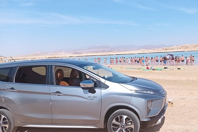 Sharm el Sheikh Private Airport Transfer - Why A Private Sharm el Sheikh Airport Transfer Beats the Taxi Shuffle