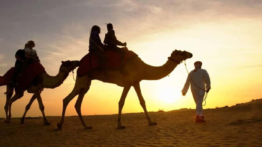 Sharm El Sheikh: Quad Biking, Camel Ride & Bedouin Dinner. - Quad biking in the desert: fun, controlled, and definitely bumpy