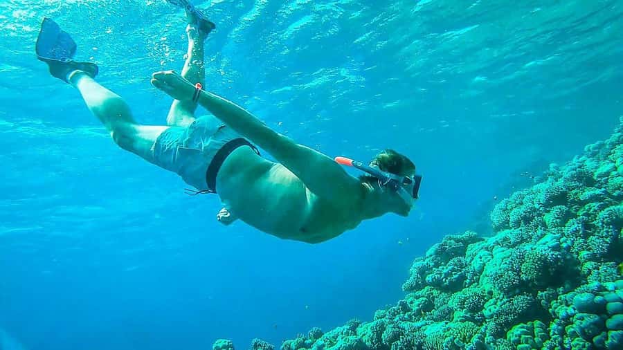 Sharm El Sheikh: Ras Mohamed and White island cruise - Ras Mohammed and White Island in one day: what you’re really buying