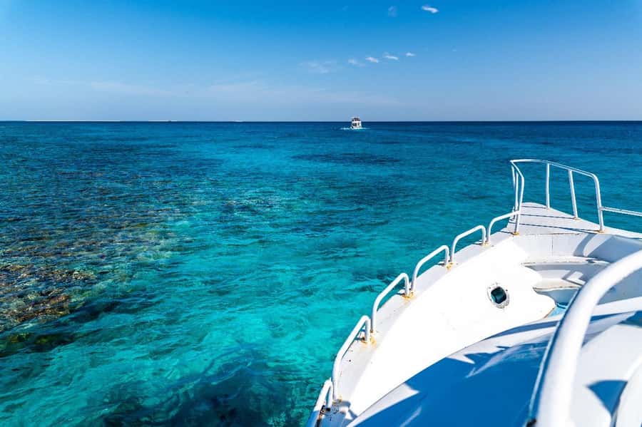 Sharm El Sheikh: Ras Mohamed and White island cruise - Timing reality: why the day can feel smooth or slightly chaotic