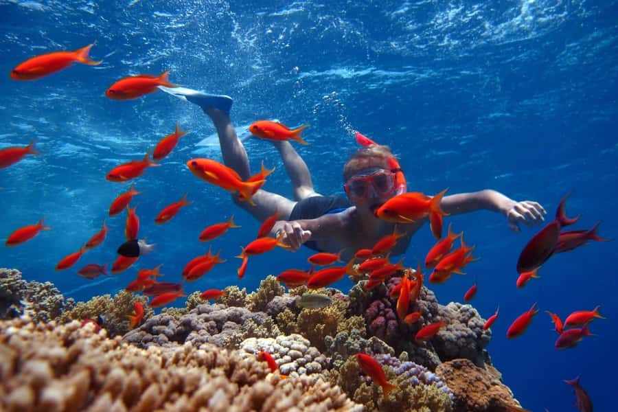 Sharm El Sheikh: Ras Mohamed Cruise with Snorkeling & Lunch - The Ras Mohamed Time: Snorkeling With a Guide (Two Different Swim Blocks)