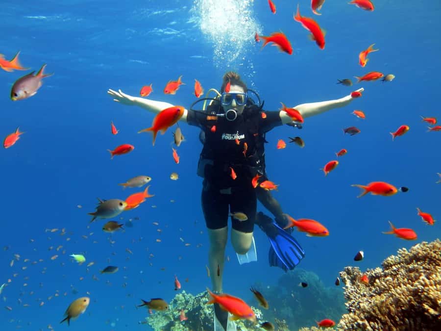 Sharm El Sheikh: Ras Mohamed Cruise with Snorkeling & Lunch - Guide Support and Safety: The Human Part That Makes Snorkeling Easier