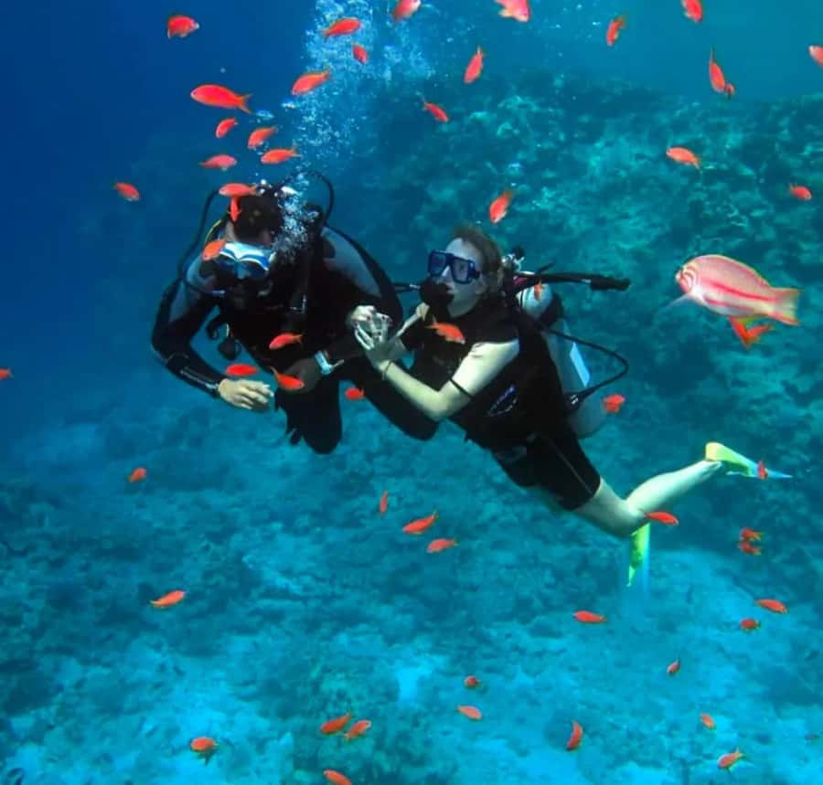 Sharm El Sheikh: Ras Mohamed & White Island Dive & Snorkel - Ras Mohamed National Park Snorkeling: Two Stops and Instructors Who Keep It Simple