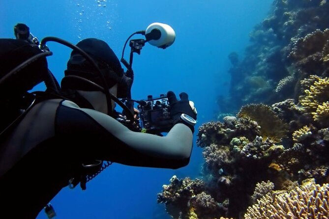 Sharm El Sheikh: Ras Mohamed, White Island, Snorkel and Diving - Why Ras Mohammed and White Island Fit Together So Well