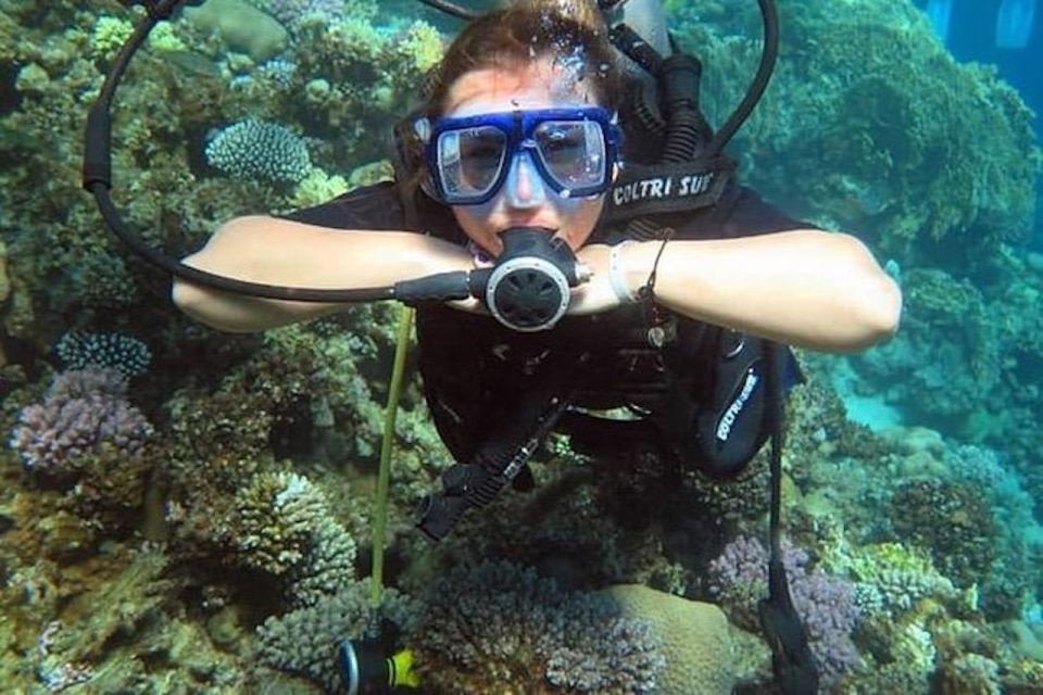 Sharm El Sheikh: Ras Mohamed & White Island Snorkel or Dive - Key things I think you should know