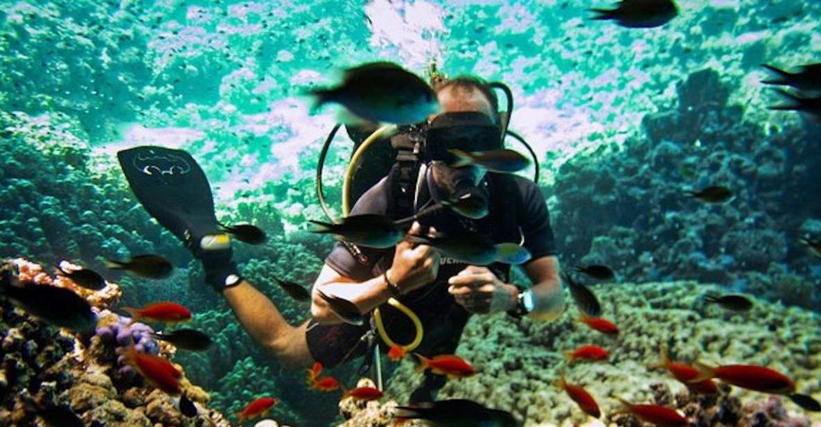 Sharm El Sheikh: Ras Mohamed & White Island Snorkel or Dive - Why Ras Mohamed and White Island are worth your time from Sharm El Sheikh