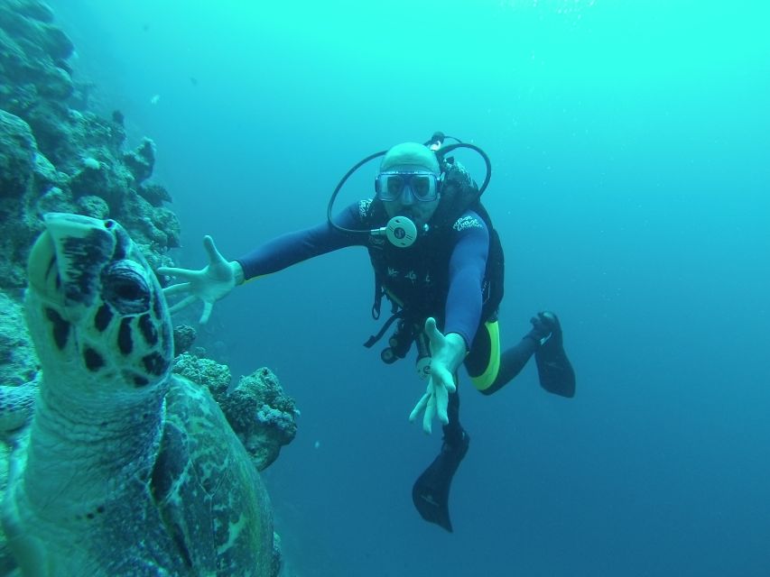 Sharm El Sheikh: Ras Mohamed & White Island Snorkel or Dive - From hotel pickup to site briefing: how the day stays organized