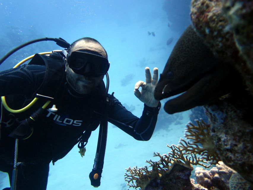 Sharm El Sheikh: Ras Mohamed & White Island Snorkel or Dive - Scuba gear, tanks, and instructor support: what safety feels like