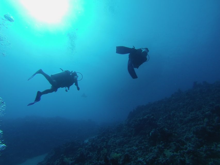 Sharm El Sheikh: Ras Mohamed & White Island Snorkel or Dive - Price and park fees: where the $18 can change