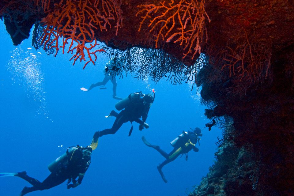 Sharm El-Sheikh: Ras Mohamed & White Island Snorkeling Trip - Guides and crew: the difference between a good day and a great one