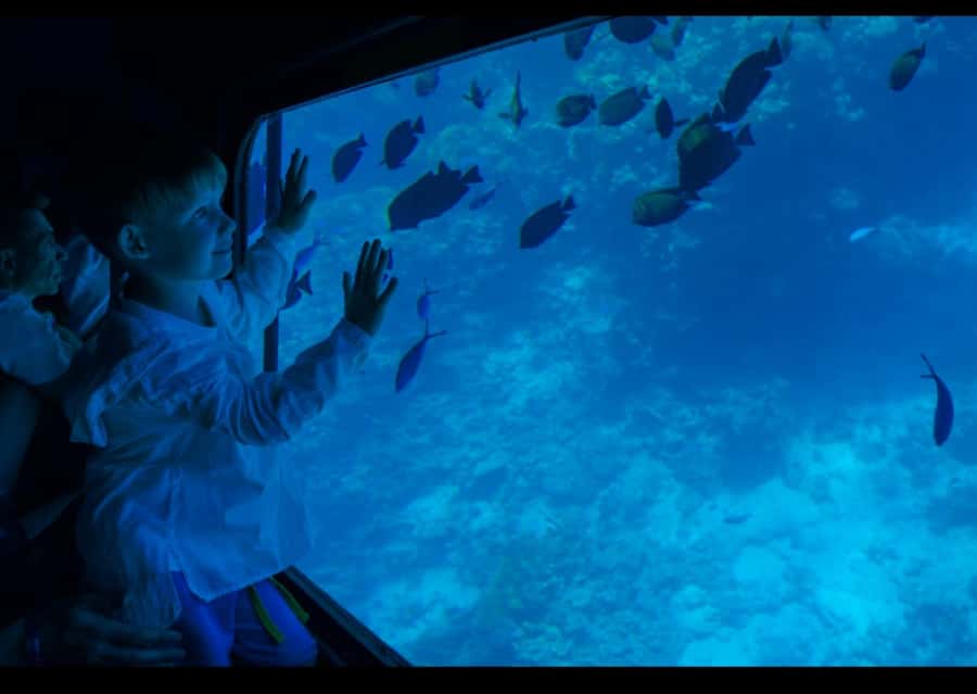 Sharm El-Sheikh: Royal Seascope Submarine Cruise with Pickup - How the 90 minutes play out: the simple schedule