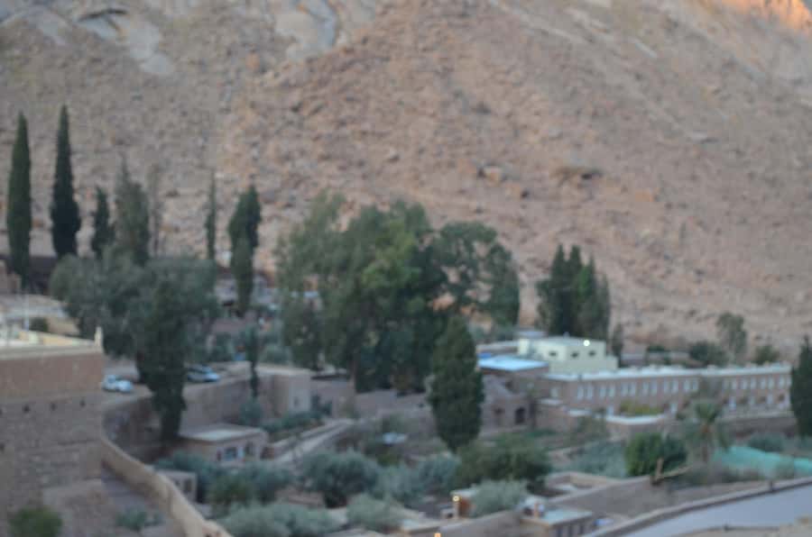 Sharm El Sheikh: Saint Catherine's Monastery Private Tour - Price and value: what $185 per person really buys you
