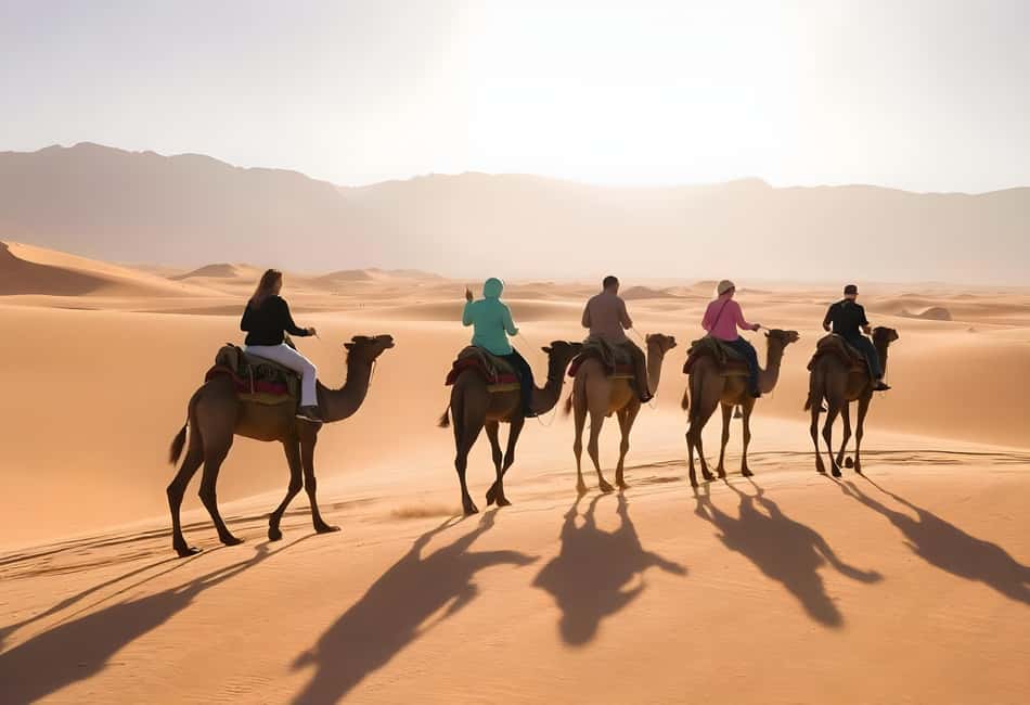 Sharm El-Sheikh: Ultimate ATV Quad, Stargazing & BBQ Dinner - Should you book Sharm El-Sheikh Ultimate ATV Quad, Stargazing & BBQ?