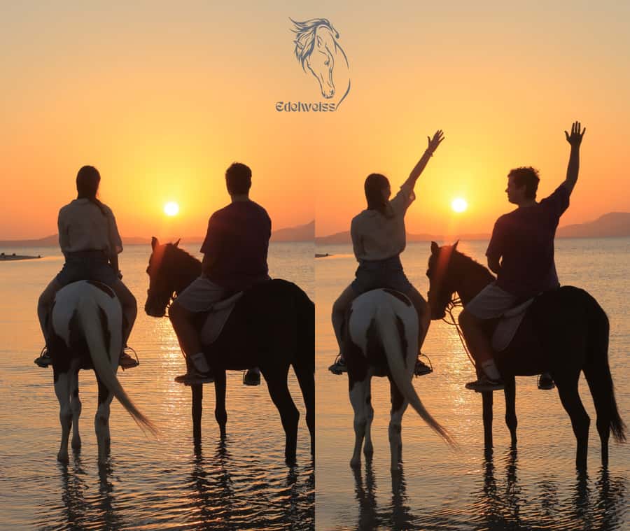 Sharm El Shiekh: Beach and City Desert Horse Riding Tour - Why Sharm El Sheikh Horseback Riding Feels Different (Desert + Sea)
