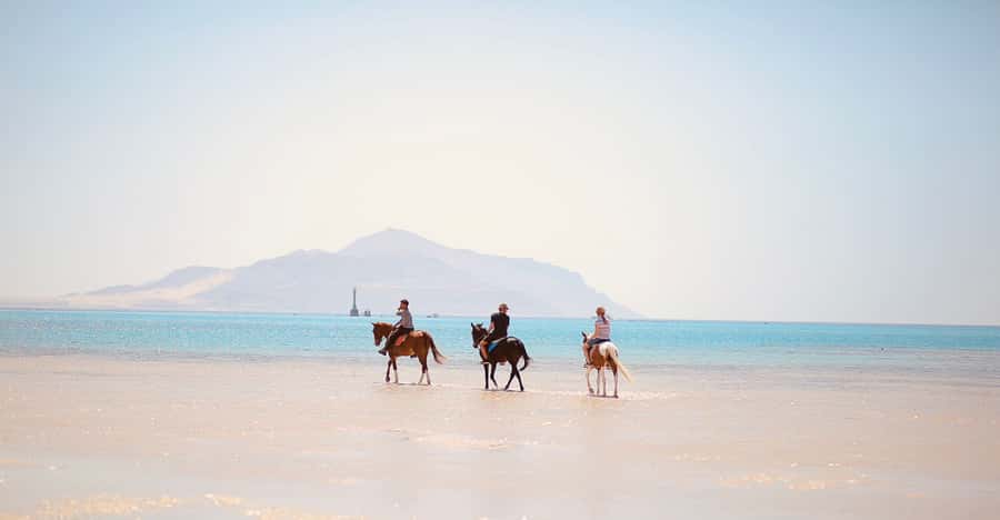 Sharm El Shiekh: Beach and City Desert Horse Riding Tour - What to Bring (A Short List That Actually Helps)