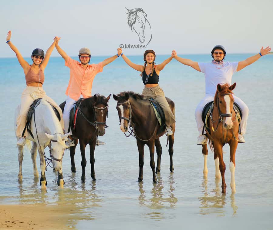 Sharm El Shiekh: Beach and City Desert Horse Riding Tour - Edelweiss Equestrian Center: Horse Matching and Setup That Matters