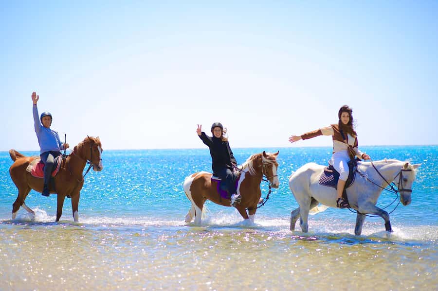 Sharm El Shiekh: Beach and City Desert Horse Riding Tour - The Beach Segment and Red Sea Splash Time You Came For
