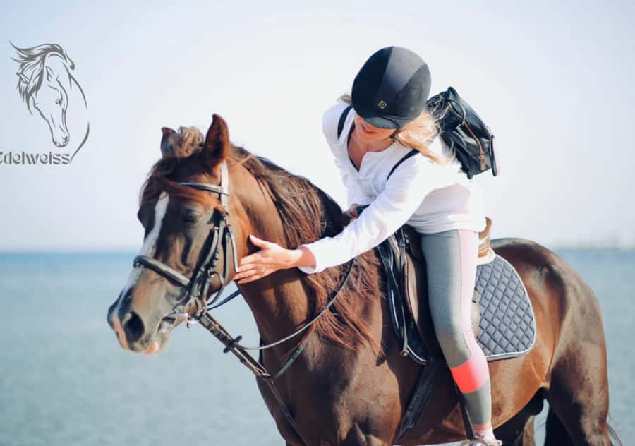 Sharm El Shiekh: Beach and City Desert Horse Riding Tour - Sunrise, Morning, or Sunset: How Timing Changes the Ride