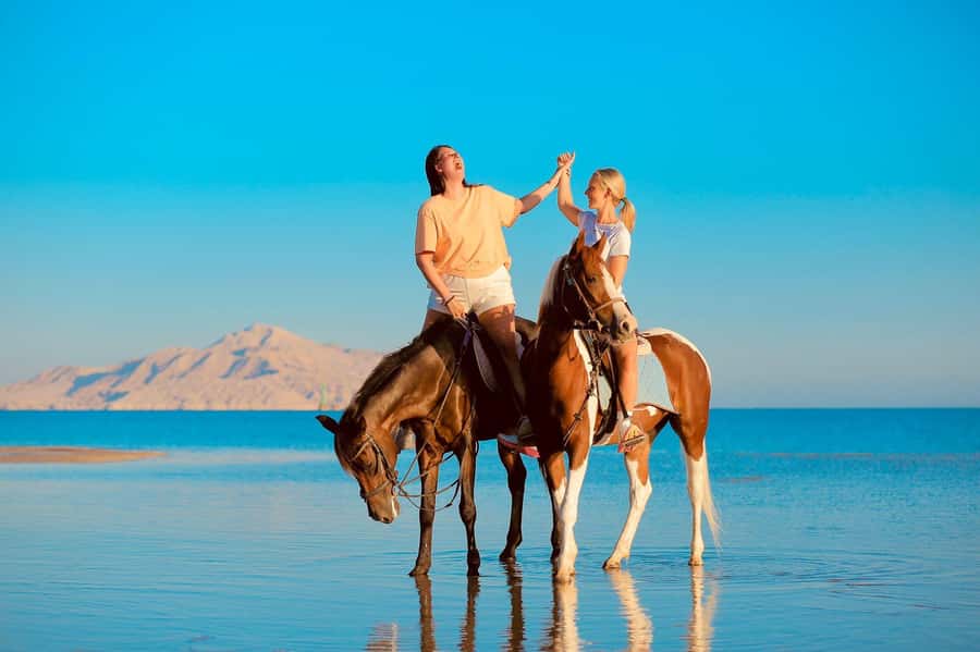 Sharm El Shiekh: Beach and City Desert Horse Riding Tour - Getting There: Hotel Pickup vs. Going Straight to the Center