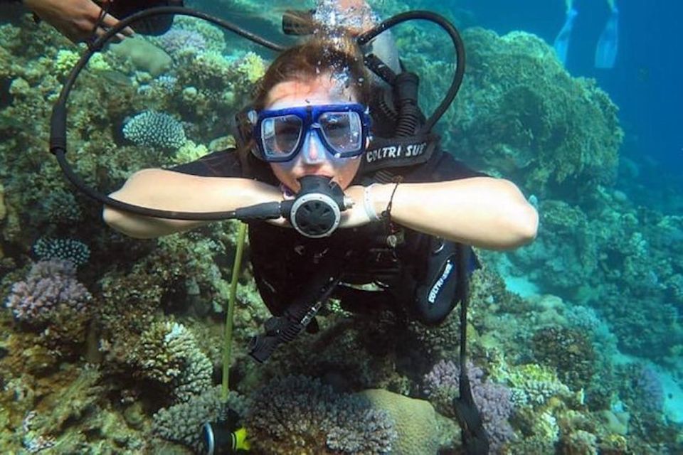 Sharm: Introductory Dive from the Shore & PADI Courses - What Happens Before the Water: Gear, Video, and Setup Comfort