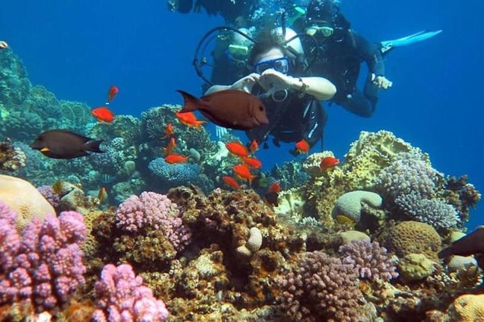 Sharm: Introductory Dive from the Shore & PADI Courses - If You Want Certification: How the PADI Open Water Option Works