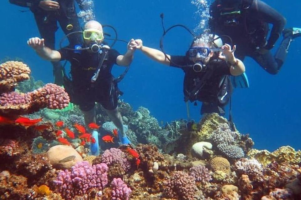 Sharm: Introductory Dive from the Shore & PADI Courses - Price and Value: Is $47 a Smart Deal?