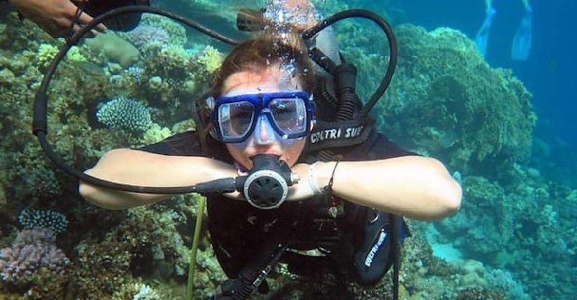 Sharm: Introductory Dive from the Shore & PADI Courses - Getting There: Fanar Beach and Hotel Pickup Without the Chaos