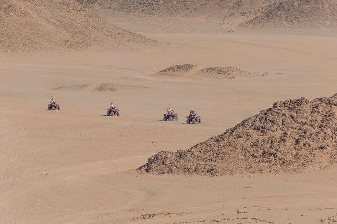 Sharm: Quad Bike or Car Buggy, Camel ride & optional VIP Bedouin Dinner & Show - Optional VIP Bedouin dinner and show: belly dance, tanoura, fire