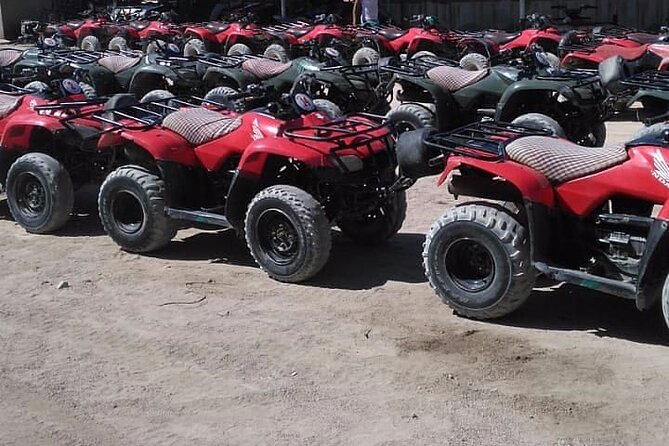 Sharm: Quad Bike or Car Buggy, Camel ride & optional VIP Bedouin Dinner & Show - What to pack: small items that prevent big annoyances
