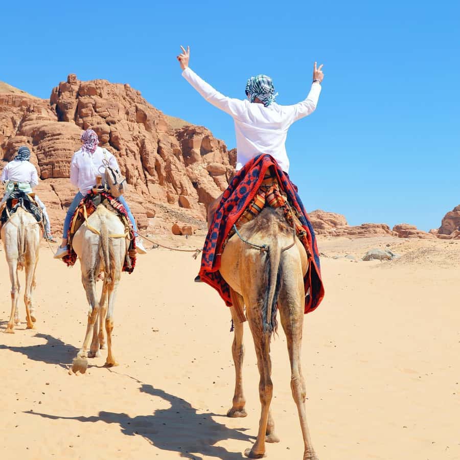 Sharm: Water Sports Adventure Day with Hotel Transfer - How the 6-hour schedule actually feels in Sharm El Sheikh