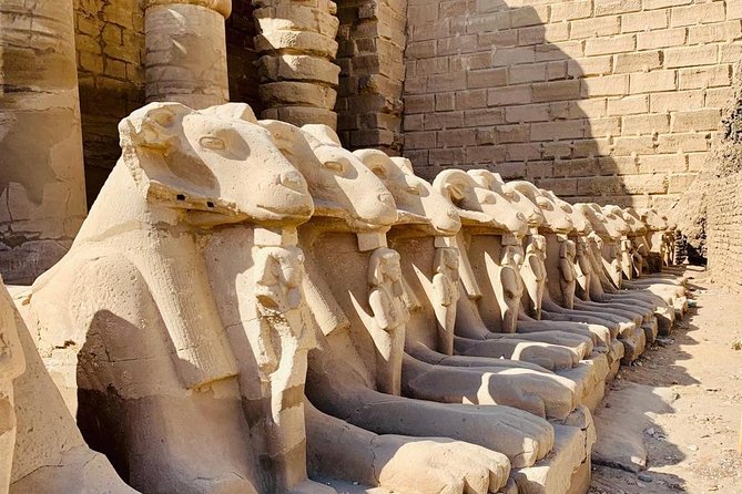 Shore Excursion - Luxor one day tour from Safaga Port - Logistics, comfort, and the small friction points to expect