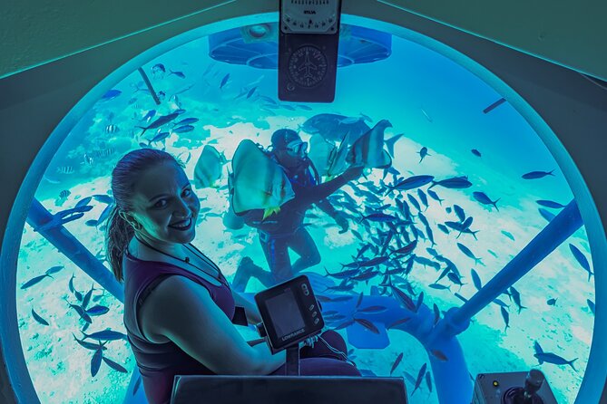 Sindbad Submarines - Hurghada (Egypt) - 2 Hours - 25 Meters Down: What You’ll Actually See From the Windows
