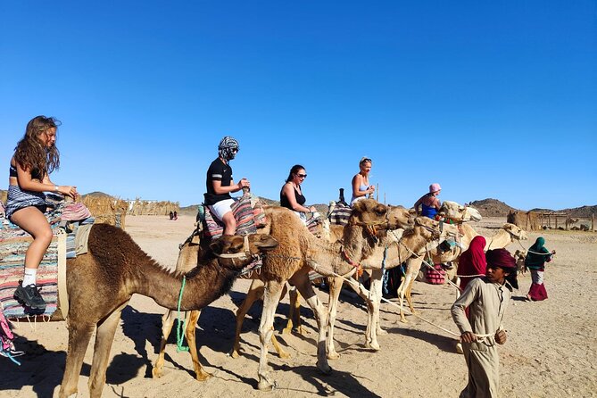 Single Quad Biking in Hurghada - Minibus to the Dunes: When the Day Shrinks to Desert Time