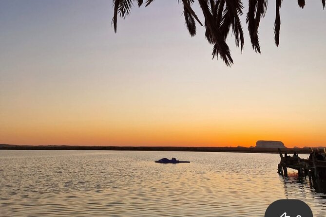Siwa Oasis All Inclusive Tour From Cairo - Private tour style: how the experience feels when it’s just your group