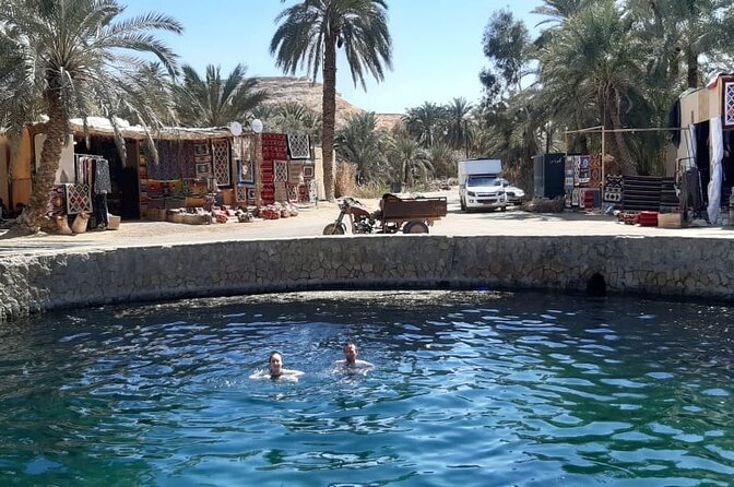 Siwa Oasis Tour 3 Day 2 Nights from Cairo - What the Small Group (Max 8) Means for Your Day