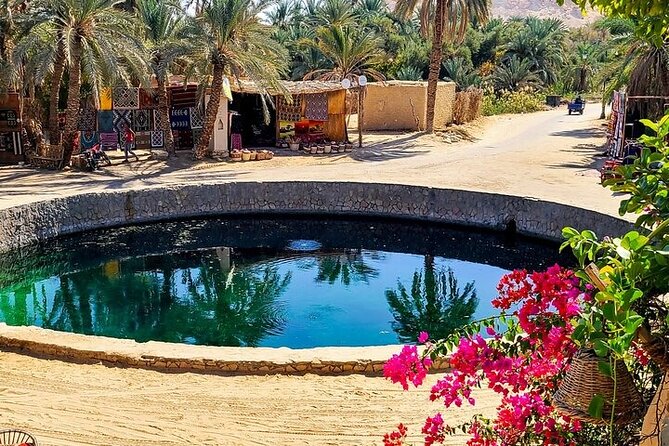Siwa Oasis Tour All inclusive 3 Days Experience from Cairo&Giza - Price and what $319 really covers (and why that matters)